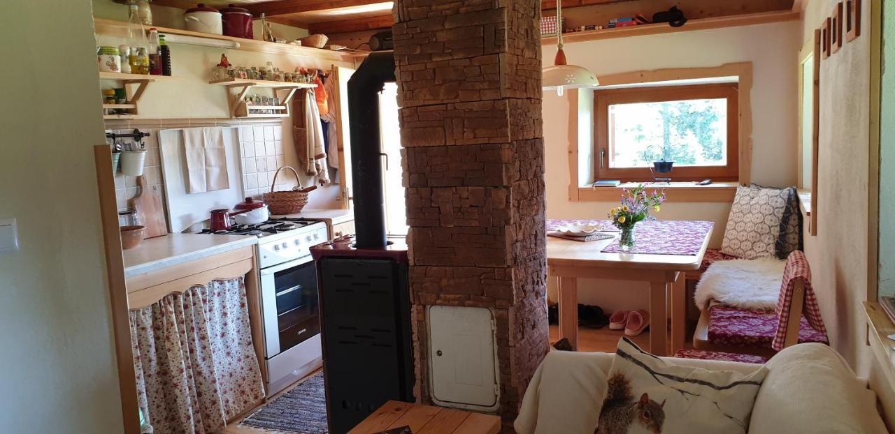 Mountain Eco Chalet Konjska Dolina On 1400 M Asl -Near Pokljuka Srednja Vas v Bohinju Luaran gambar