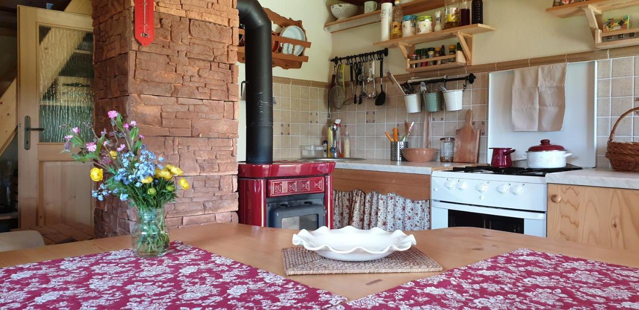 Mountain Eco Chalet Konjska Dolina On 1400 M Asl -Near Pokljuka Srednja Vas v Bohinju Luaran gambar