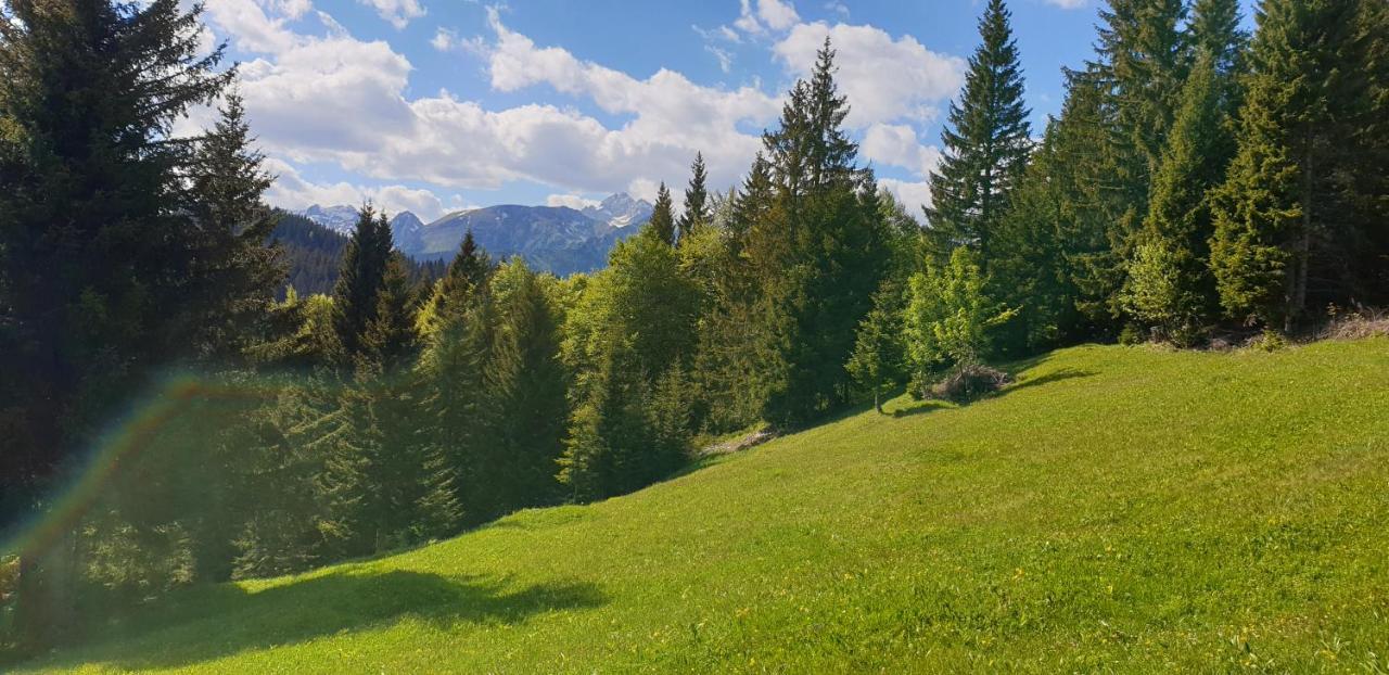 Mountain Eco Chalet Konjska Dolina On 1400 M Asl -Near Pokljuka Srednja Vas v Bohinju Luaran gambar