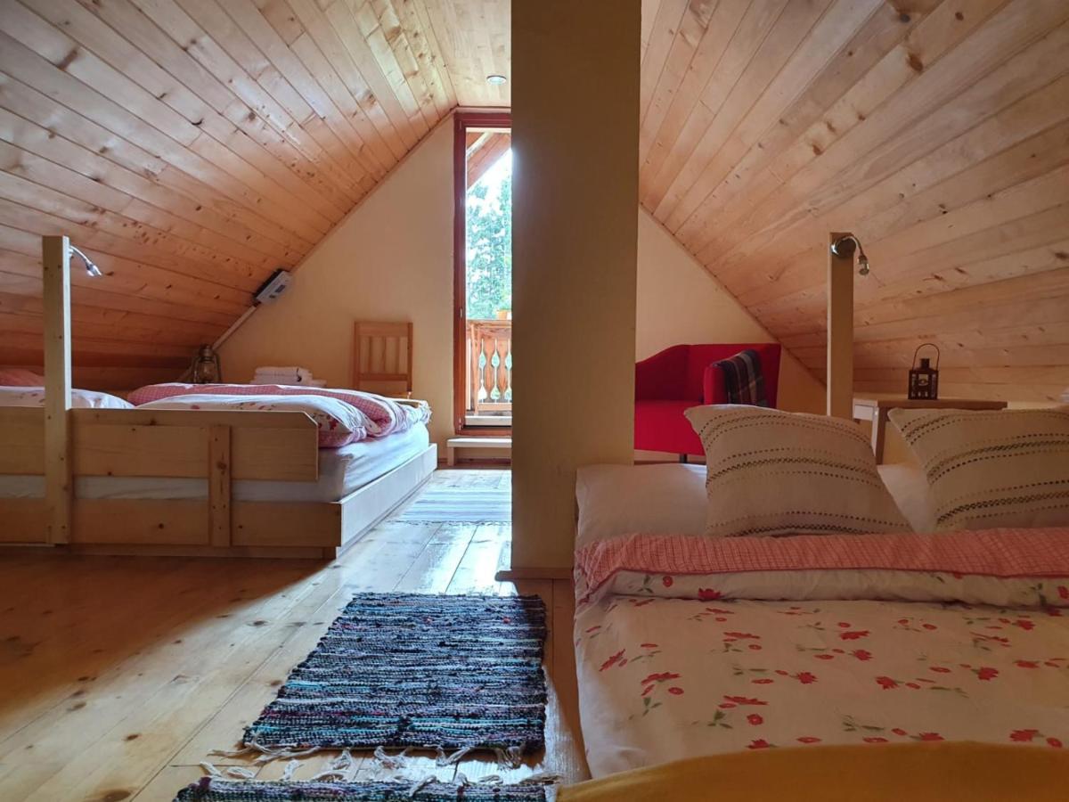 Mountain Eco Chalet Konjska Dolina On 1400 M Asl -Near Pokljuka Srednja Vas v Bohinju Luaran gambar