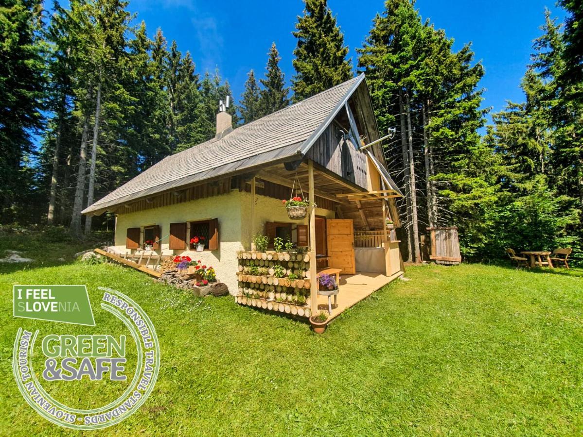 Mountain Eco Chalet Konjska Dolina On 1400 M Asl -Near Pokljuka Srednja Vas v Bohinju Luaran gambar